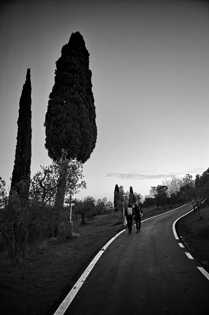 フィレンツェ、道路、田舎、トスカーナ、イタリア、DelleTavarnuzze経由、キャンティ、男達、木、黒と白、夏