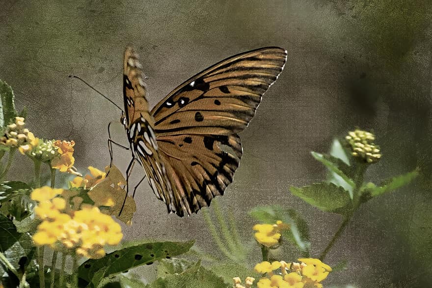 Вінтаж, метелик, комаха, квіти, жовтий, полотно, малювання, цифрове мистецтво
