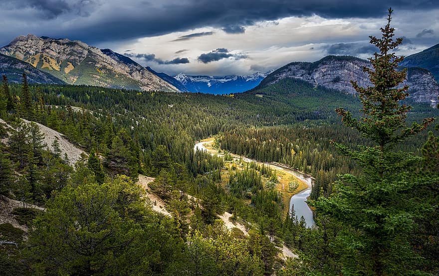Forest, River, Mountains, Panorama, Trees, Cloudy, Woods, Rocky Mountains, National Park, Landscape, Scenic