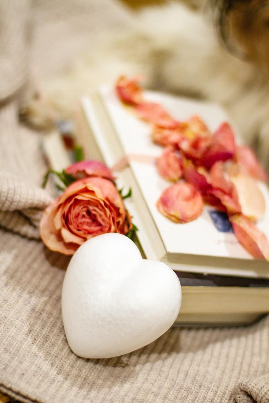 livre, amour, La Saint Valentin, Rose, cœur, cadeau, romance, table, fermer, fleur, fraîcheur