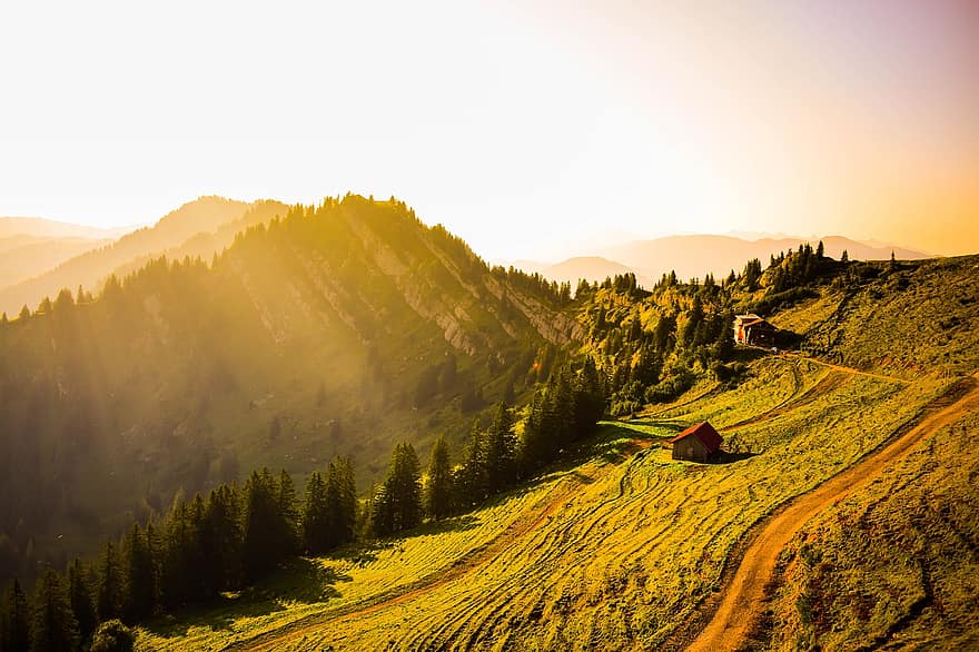Saksa, Alpit, tapetti, Baijeri, vuoret, maisema, alppi-, luonto, Berchtesgaden, Hochgrat, auringonlasku