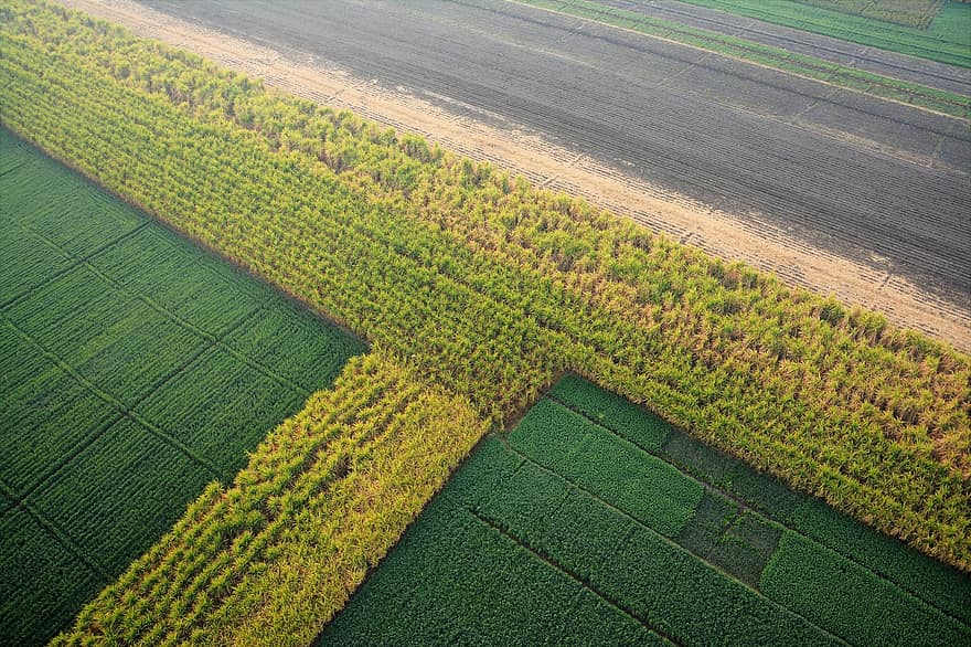 Egypt, Fields, Farm Lands, Aerial View, agriculture, farm, rural scene, high angle view, plant, land, landscape
