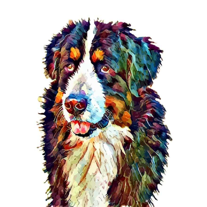 portret, pies, kolorowy portret, zwierzę domowe, psi, zwierzę, odosobniony, grafika, zwierzęta domowe, szczeniak, uroczy