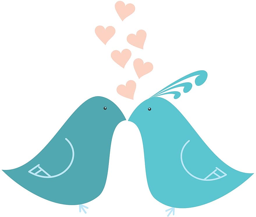 amor, cor, plomes, ocell, petó, perca, esposa, company, Peck, marit, Sant Valentí