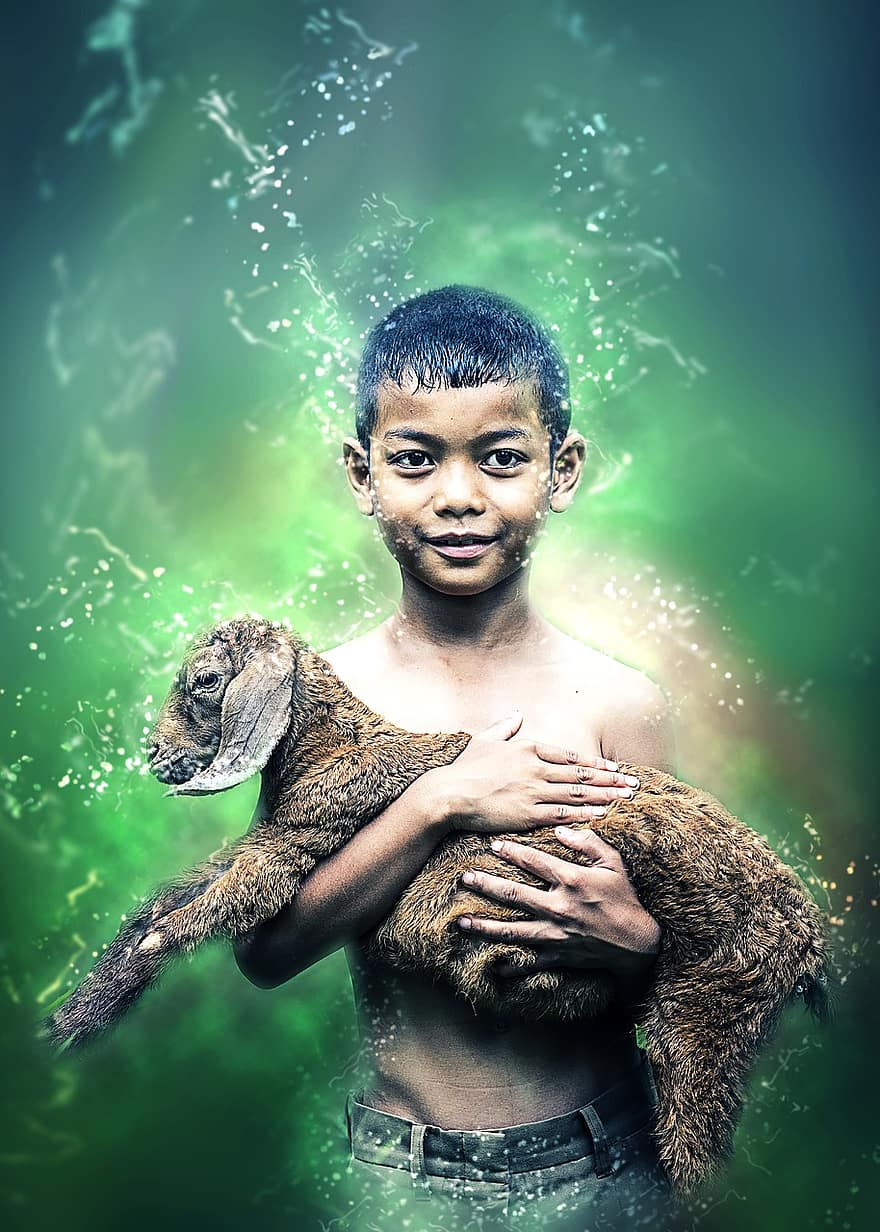anak laki-laki, di luar ruangan, Thailand, bayi, mamalia, Indonesia, orang-orang, domba, memegang, peduli, Asia