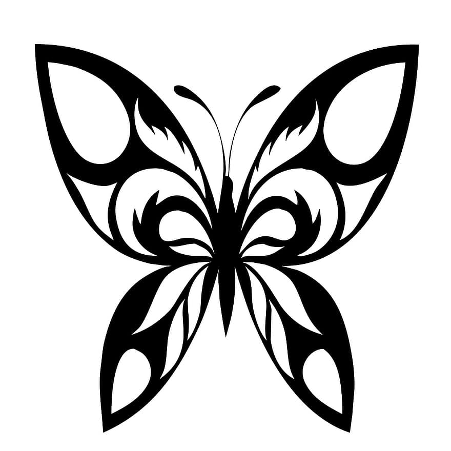 пеперуда, татуировка, силует, черно, украса, декоративен, насекомо, красива, украшение