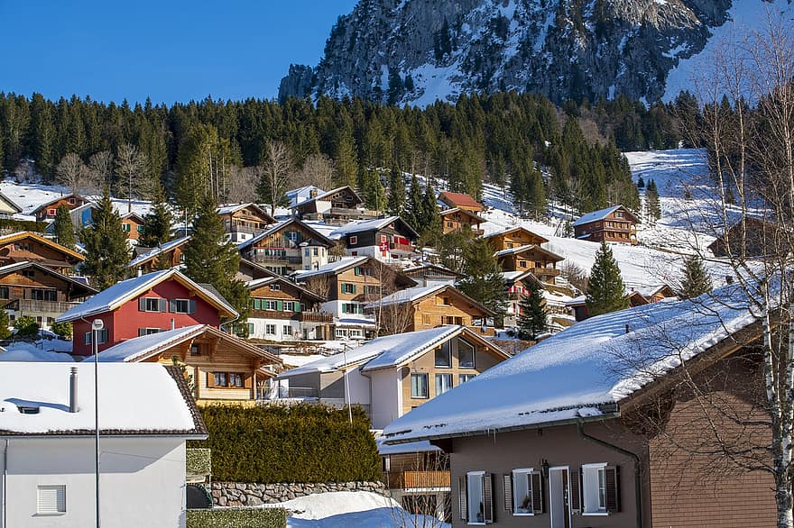스위스, 겨울, 주택들, 슈비츠의 브루니 주, 나무, 눈, 하늘, 자연, 산, 시골집, 지붕