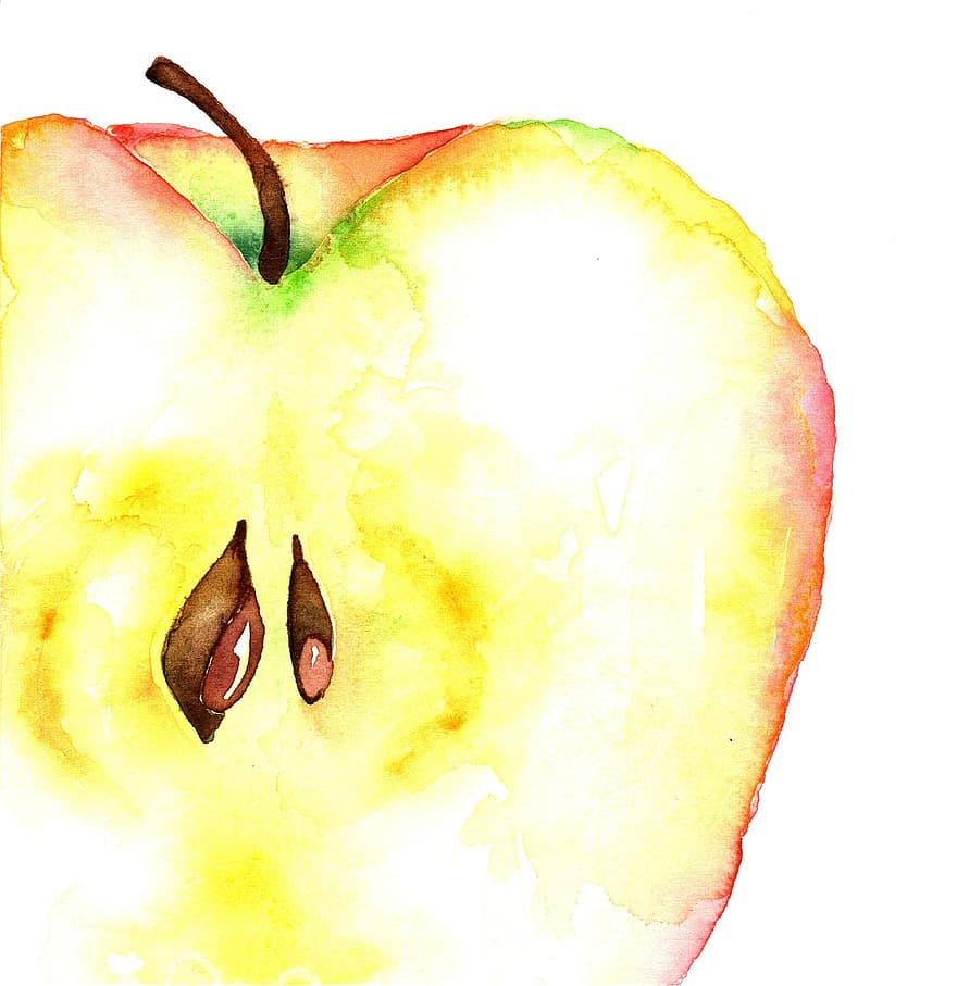 maçã, fruta, aguarela, Comida, fatiado, metade, textura, arte, artístico