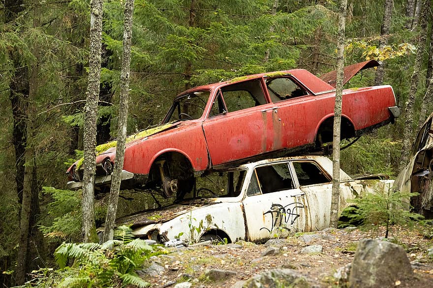 Autos abandonados, accidente de coche, bosque, campo, naturaleza