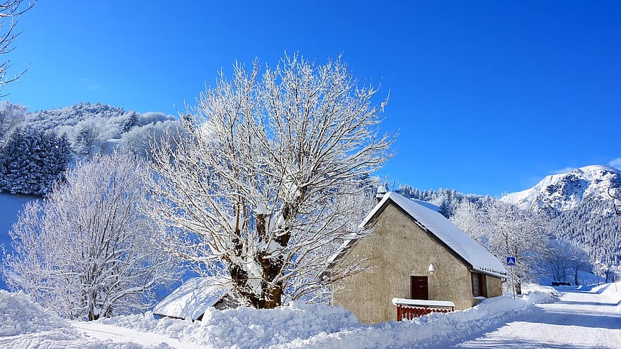 الجبل ، ثلج ، الأشجار ، محطة ، Alpe Du Grand Greenhouse ، فرنسا ، عيد الميلاد ، شتاء