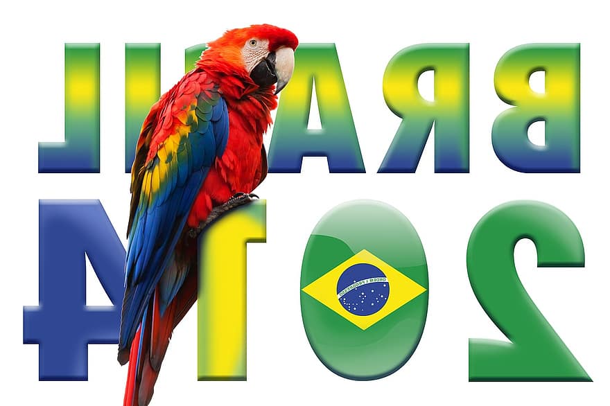 pasaules kauss, papagailis, futbols, pasaules kauss 2014, 2014. gads, pasaules čempionātā, futbola mačs, sportu, zaļa, karogs, Brazīlija