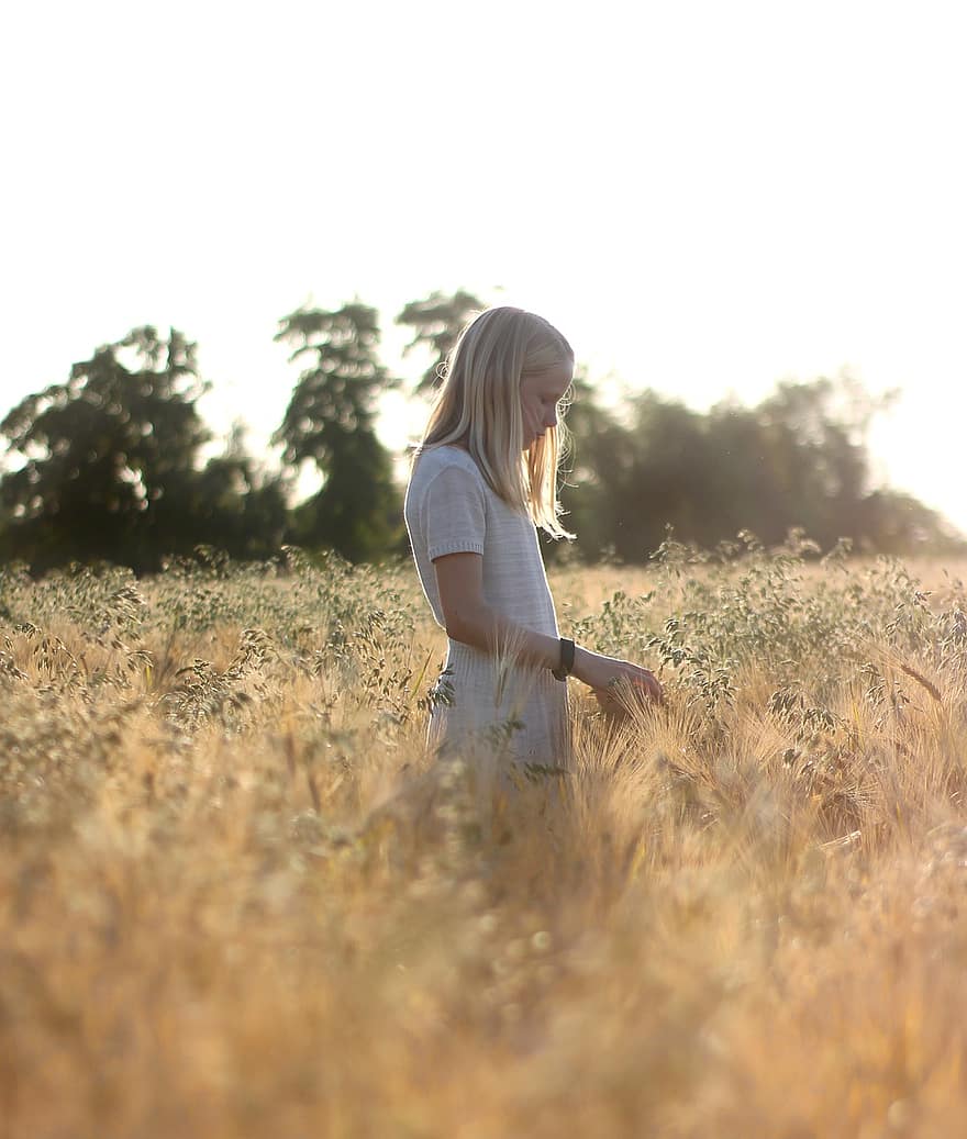 Girl, Field, Wheat, Nature, Sunset, Woman, Summer, Meadow, Farm, Grass, Young