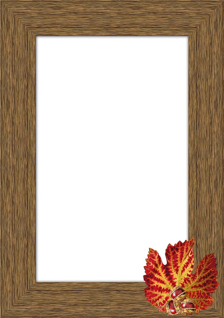 cuadro, hoja, otoño, marco de madera, blanco, vacío, fondo