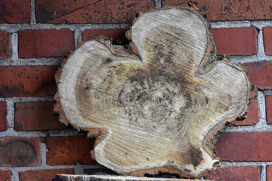 木材、ログスライス、年輪、ログ、切り株、樹皮、れんが壁、れんが、古い、きらきら、閉じる