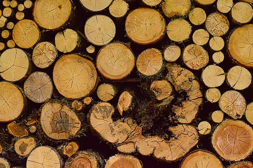 ログ、森の中、パイル、木、スタック、パターン、きらきら、森林、木材、薪、ウッドパイル