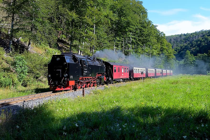 locomotora de vapor, resina, ferrocarril de via estreta, tren, hsb, històricament