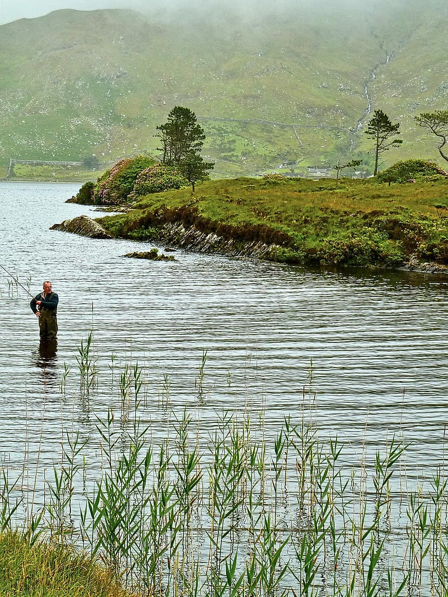 Fisherman, Fish, Stream, Fly Fishing, Water, Reeds, men, mountain, landscape, summer, forest