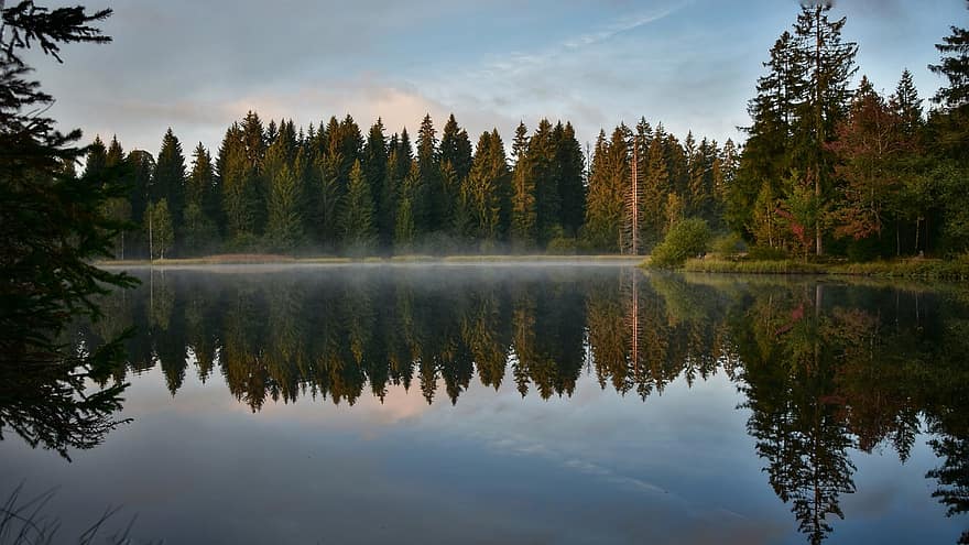 езеро, гора, природа, изгрев, мъгла, мъглявина, вода, размисъл, дървета, разсъмване, панорамен