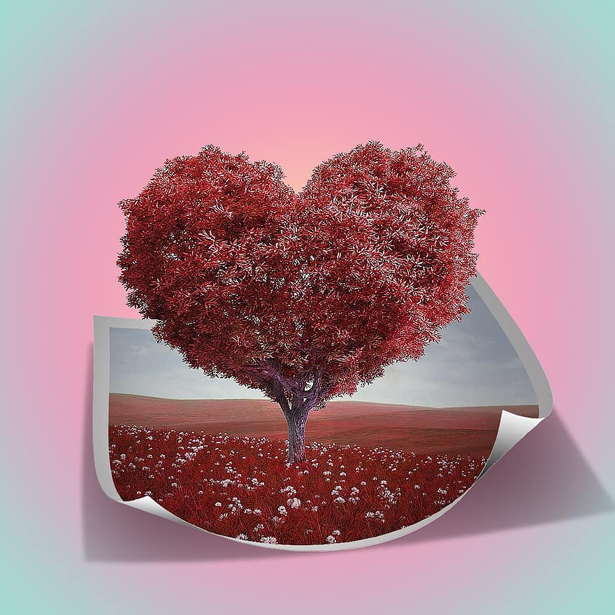 kształt serca, drzewo, czerwony, na dworze, kwiaty, Walentynki, romantyk, niebo, chmury, romans, spokojny