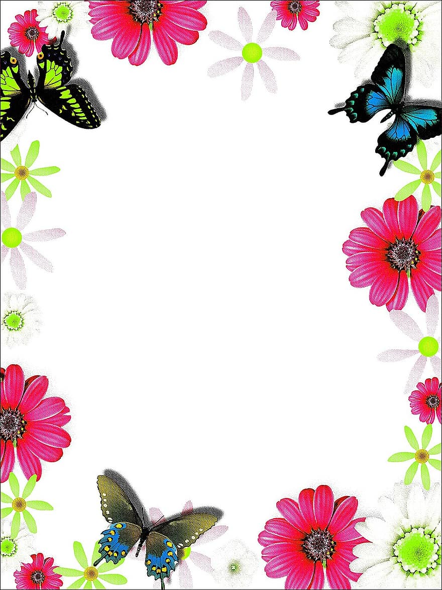 färgrik, ram, gratulationskort, fjärilar, blommor