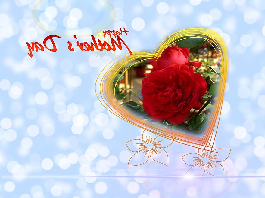 tim, yêu và quý, ngày của Mẹ, may mắn, cảm ơn bạn, lòng biết ơn, Hoa hồng, Lời chào, mẹ