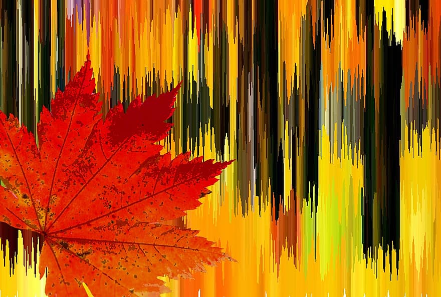 ruduo, rudens spalvos, kritimo spalva, lapai, rudenį lapija, rudenį lapai, medis, miškas, aukso rudenį, pobūdį, medis rudenį