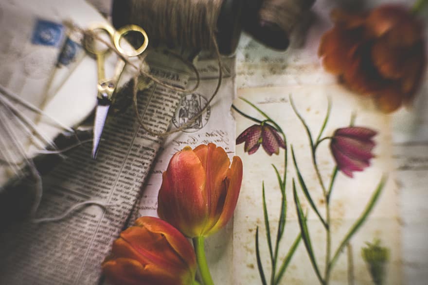 tulipe, bouquet, fleur, Contexte, décoration, floral, la nature, belle, printemps, salutation, romantique
