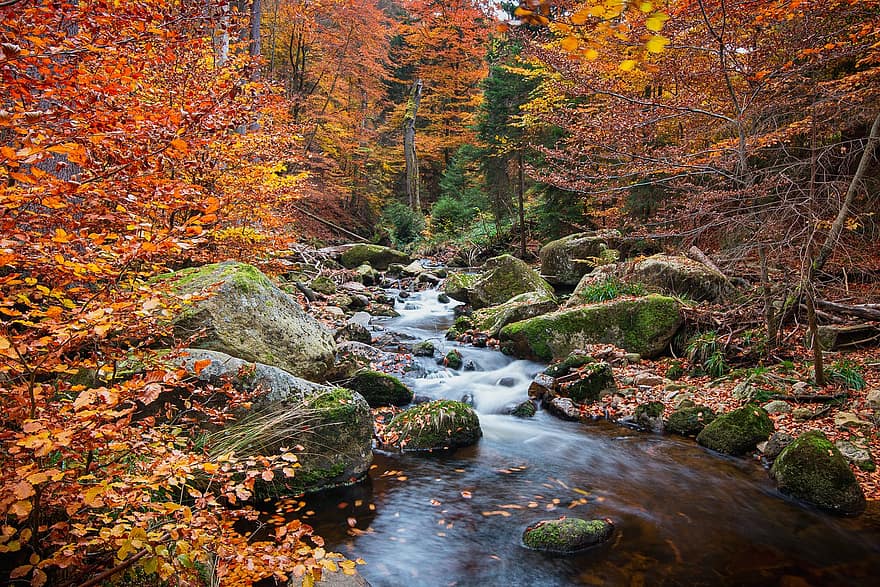 Lembah Ilse, mengalir, aliran, sungai, air, ilsetal, dedaunan musim gugur, Daun-daun, pemandangan, jatuh, batu