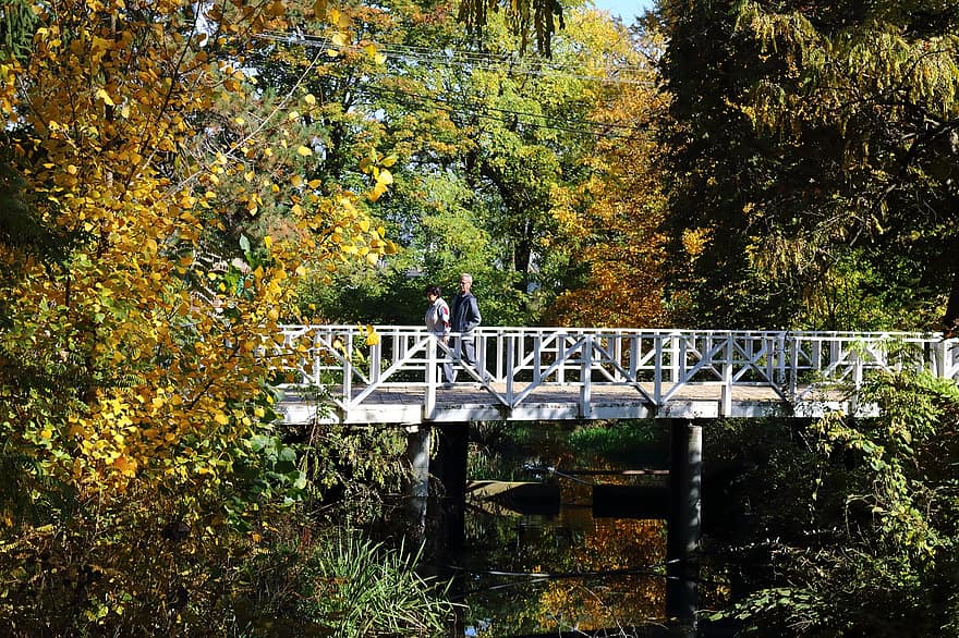 híd, természet, park, Skopje, Macedónia, szabadban