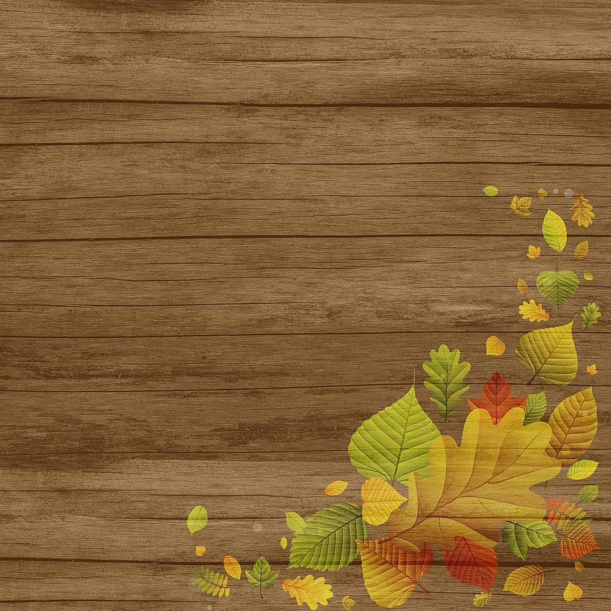 skaitmeninis popierius, rudenį, ruduo, mediena, lapai, modelį, „scrapbooking“, oranžinė, spalvinga, popieriaus, šventė