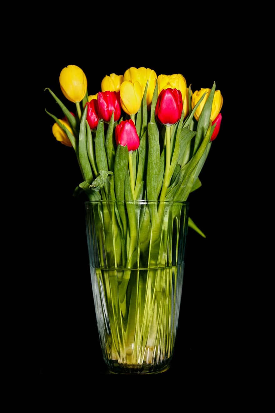 tulipaner, vase, blomster, buket, blomster arrangement, dekoration, forår, glas vas, flok blomster