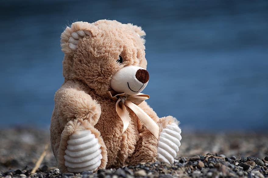 Teddybjørn, kosedyr, leketøy, søt, nærbilde, fluffy, barndom, moro, liten, sand, sommer