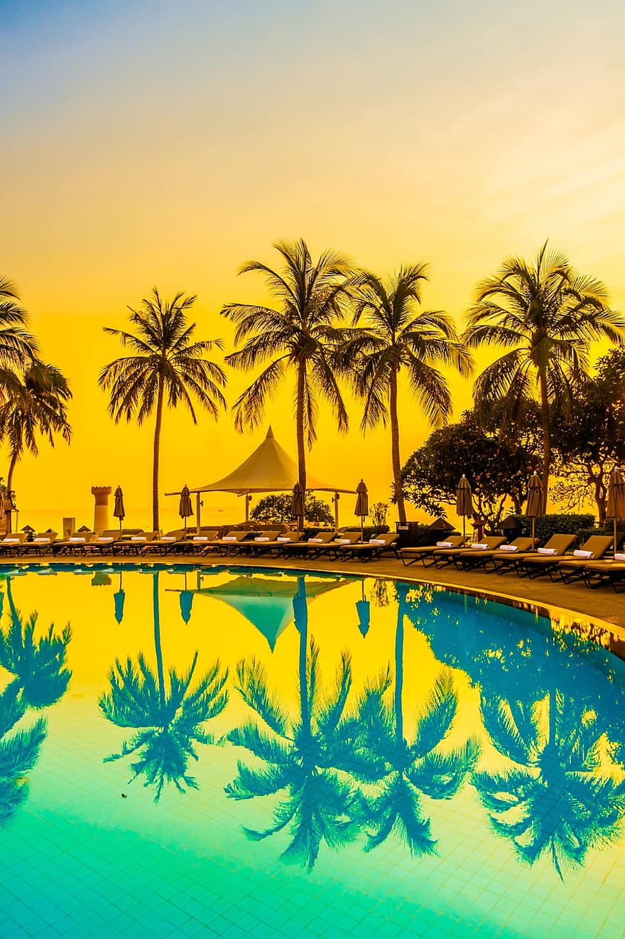 palmer, Strand, sommer, tropisk, svømmebasseng, refleksjon, natur, ferie, vann, reise, himmel