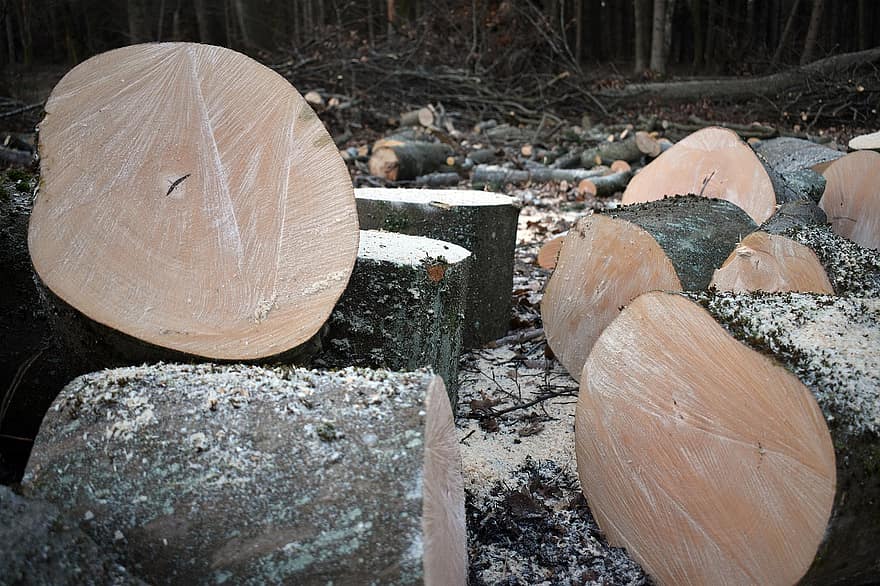 hout, logs, stam, brandhout, Stukken hout, brandstapel, houten, bosbouw, structuur, ontbossing, Bos