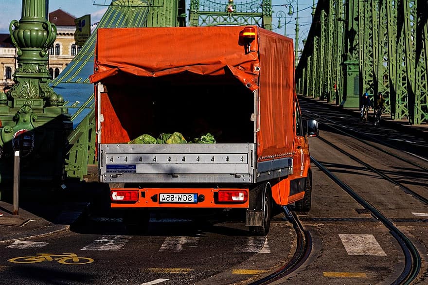 un camion, Camion de livraison, pont dom, ville, pont, Budapest