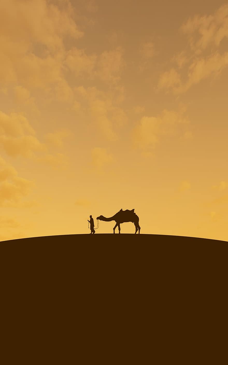 пустинен, камила, оранжев, арабски, сафари, животно, небе, хора