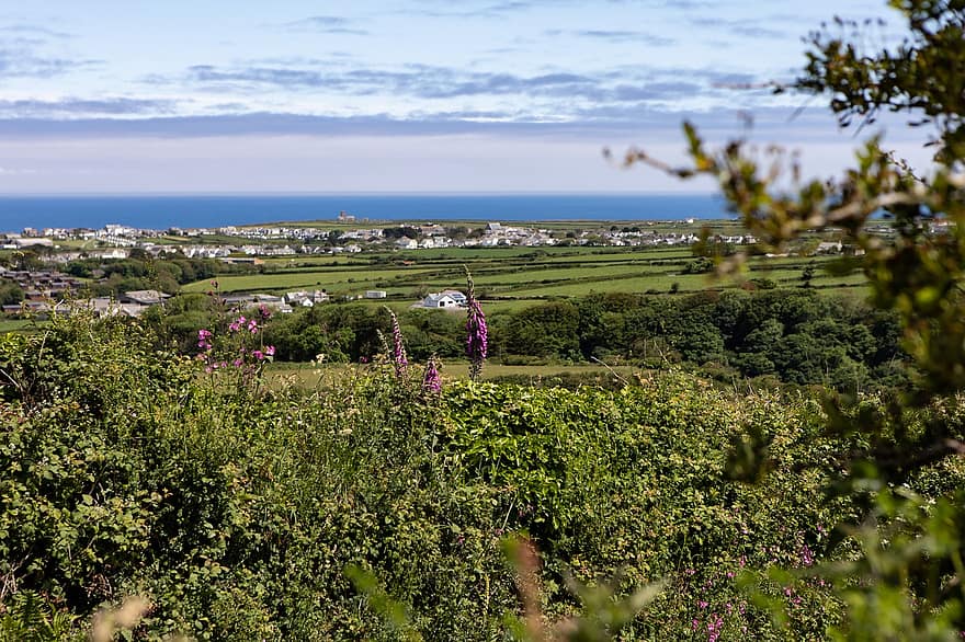Cornwall, by, felter, panorama, landdistrikterne, kyst, havudsigt, hav, ocean, horisont, landskab