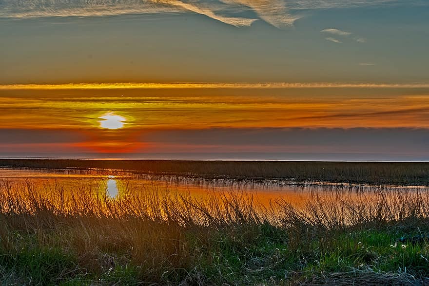 solnedgång, hav, natur, Sol, horisont, himmel, moln, gräs, äng, vår, strand