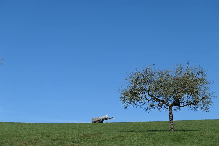 colina, árbol, naturaleza, prado, flores, paisaje, cielo azul, azul, escena rural, color verde, hierba