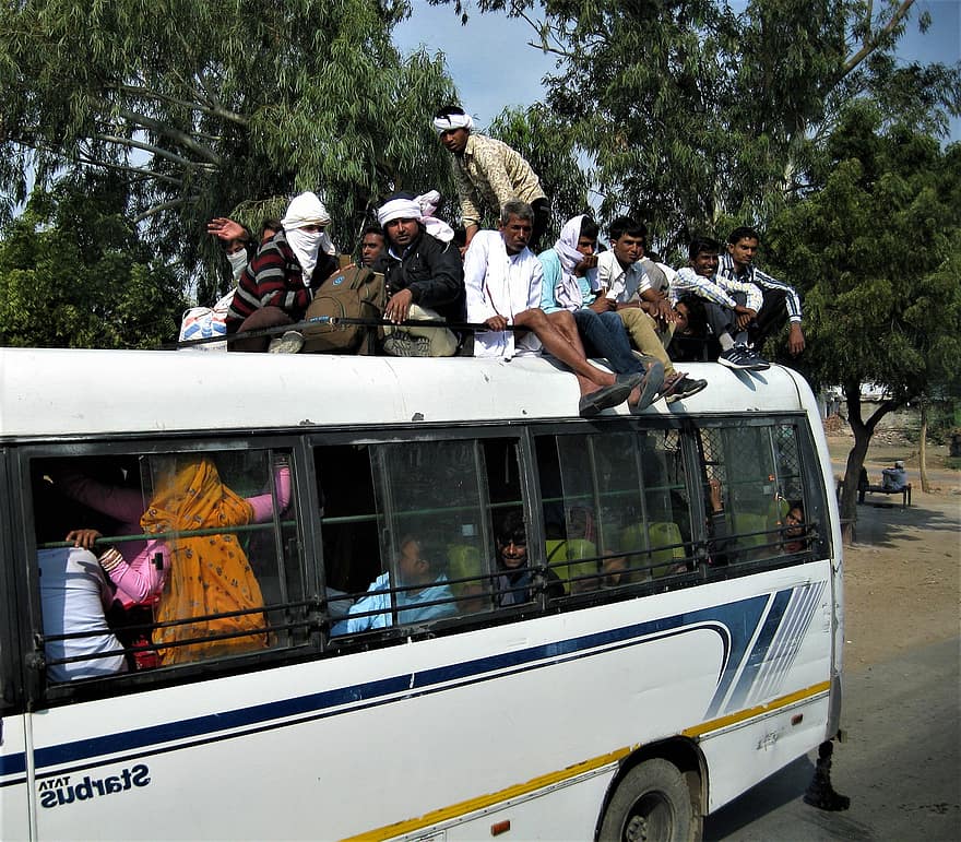 India, autobús, viaje, transporte, vehículo, gente