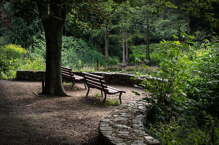 公園のベンチ、湖、自然、水、風景、木、パーク、残り、夏、ロマンチック、座る
