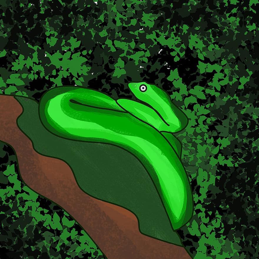 wąż, gad, zwierzę, dziki, zielony wąż, kopiec, rysunek