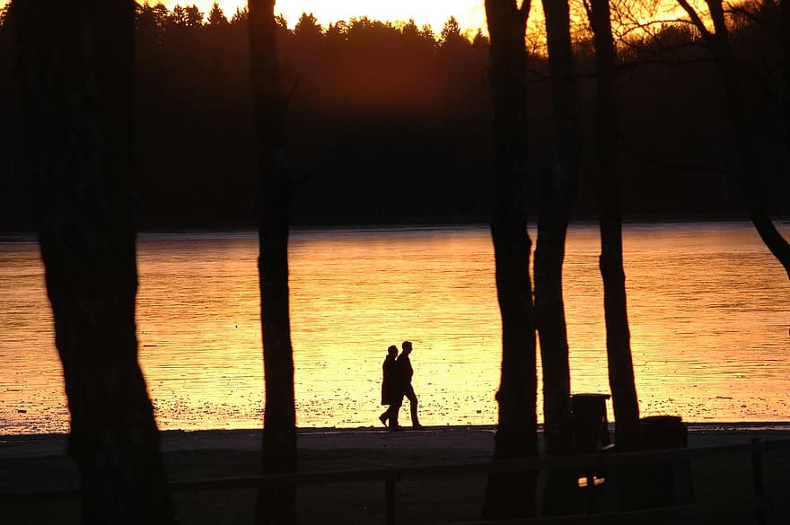 Lac, le coucher du soleil, marche, couple, des silhouettes, parc, des arbres, soir