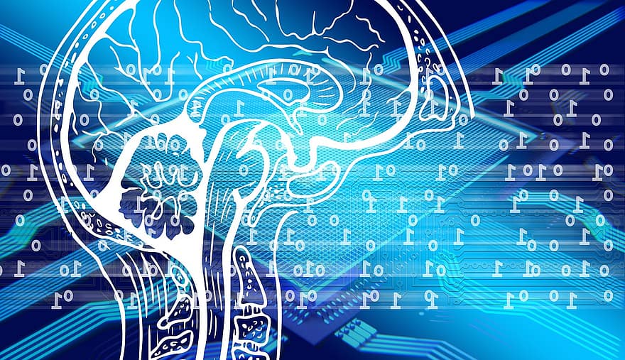 cerebro, binario, digital, computadora, pensar, tecnología, red, programación, inteligencia artificial, UPC, chip