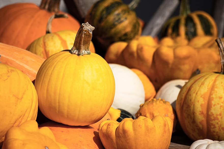 Pumpkin, Vegetables, Fall, Food, Healthy, Pumpkin Patch, Season
