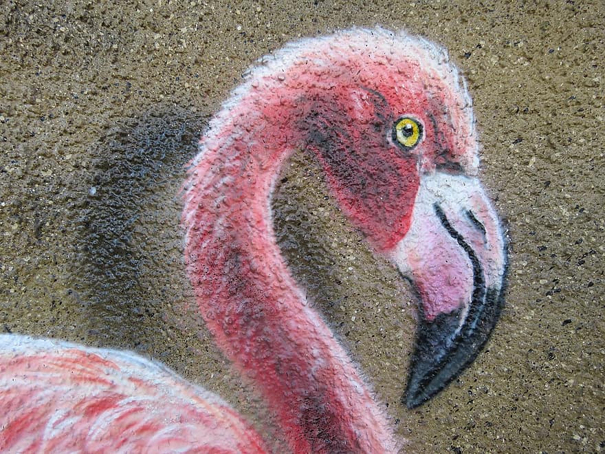 flamenco, mural, pared, zoo, Berlina, Lichtenberg, Alemania, animal, naturaleza, mundo animal, parque de animales berlin