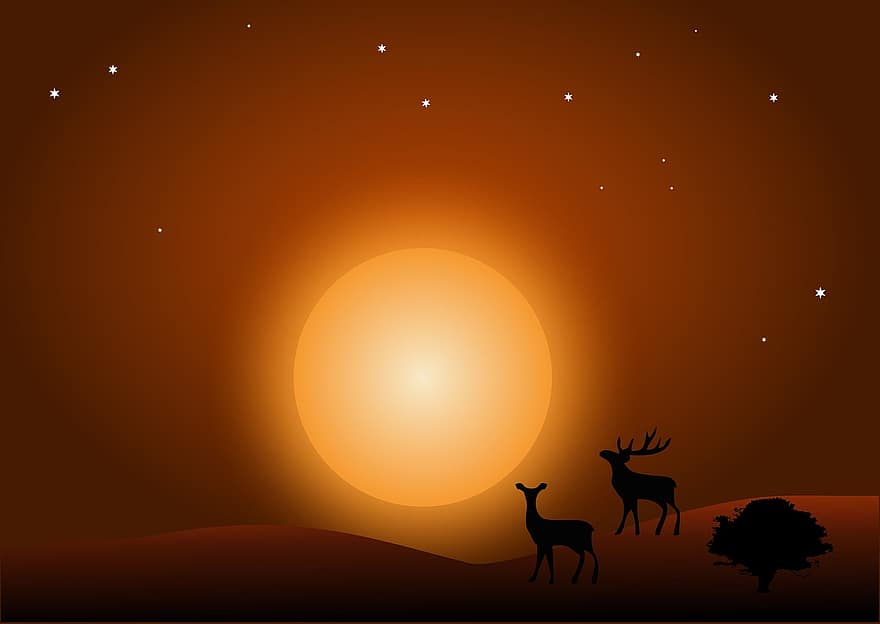 rusa, hutan, rusa besar, tanduk, malam, bulan, bintang, langit, alam semesta, petualangan, ruang