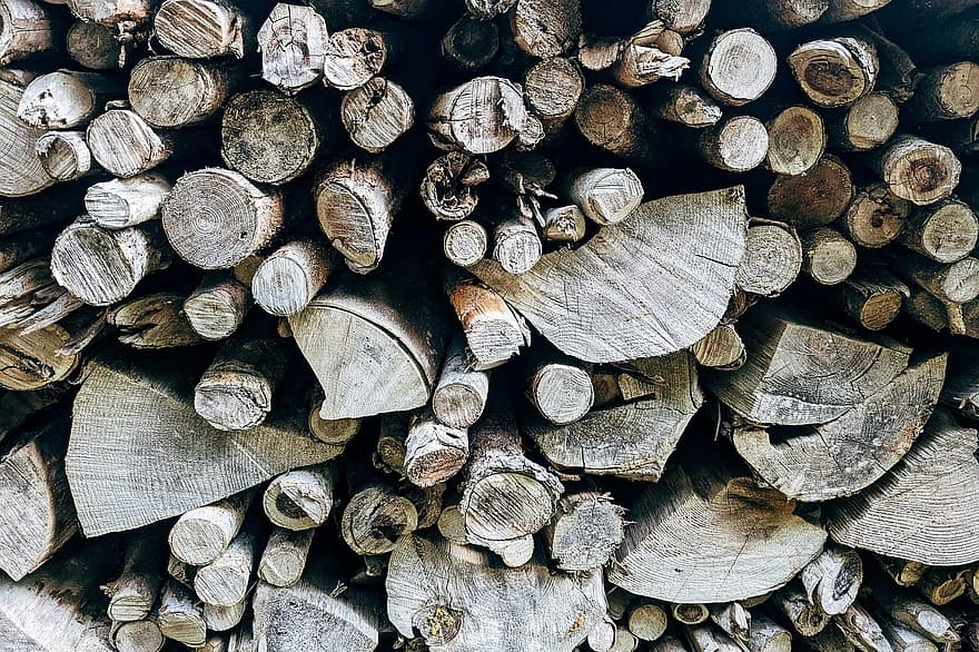 kayu, kayu bakar, pohon