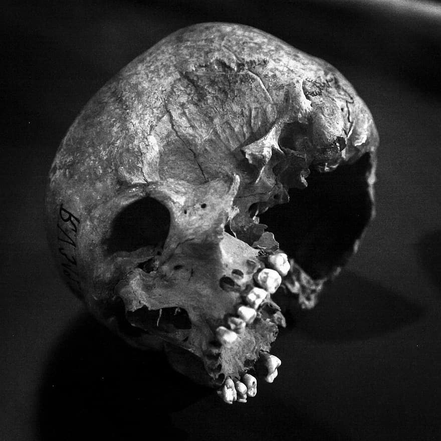 череп, стар, човешки череп, профил, Черно и бяло, реколта, античен, черно, човек, зло, мръсен