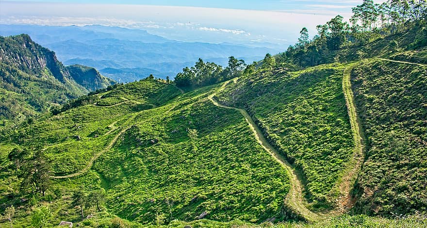 Djævletrappe, Sri Lanka-bjergene, Sri Lanka Tea Estate, bakke, spids, klippe, landskab, Skov, naturskøn, baggrund, blå